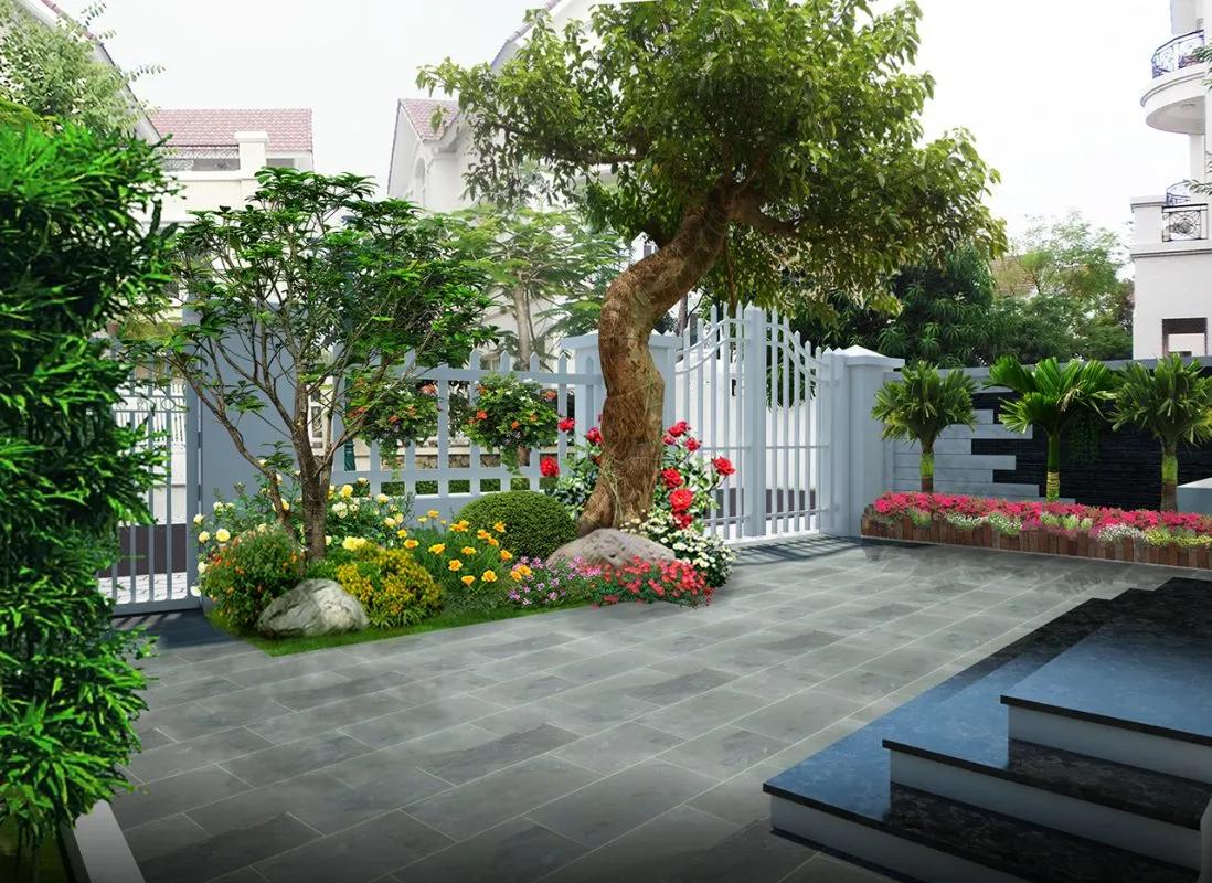 cây phong thủy trước nhà
